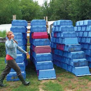 From Field to Market: Keeping Food Safety in Mind Image